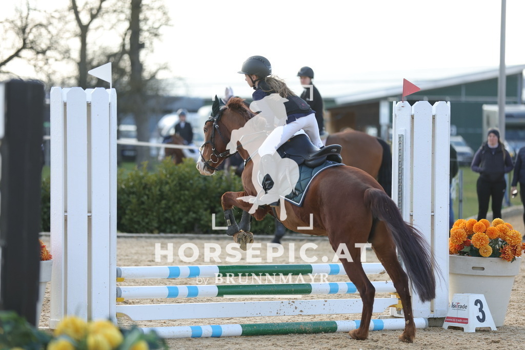 0P6A9039 | Willkommen bei Brunnmayr - Design & Fotografie – Ihrem Spezialisten für Reitturniere und Pferdeveranstaltungen in Oberösterreich, Salzburg und Bayern! Seit über 17 Jahren sind wir leidenschaftlich dabei.