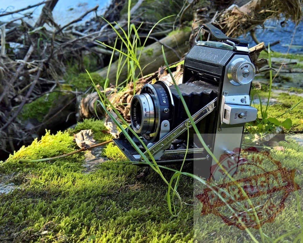 Vintage folding camera resting on vibrant moss in nature | Bellows camera standing on green moss against a natural background - Realized with Pictrs.com