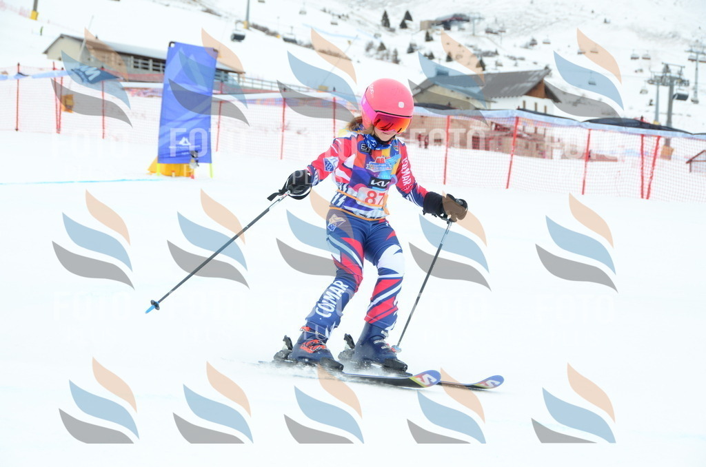 DSC_1150 | holidayphoto