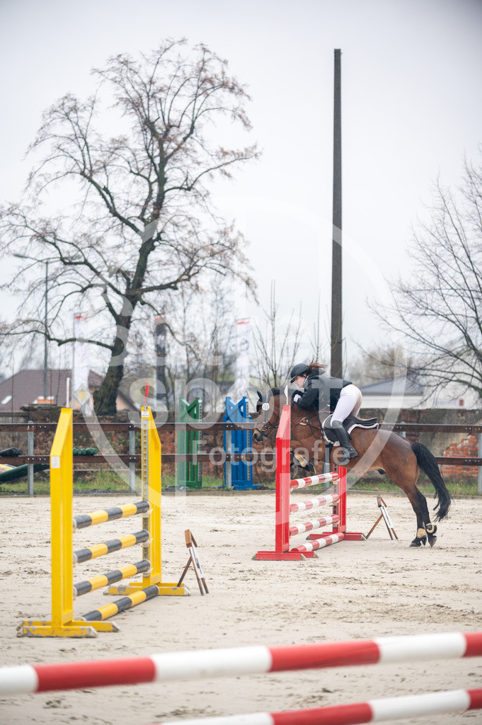 DSC_8364 | sattelsport - Realisiert mit Pictrs.com