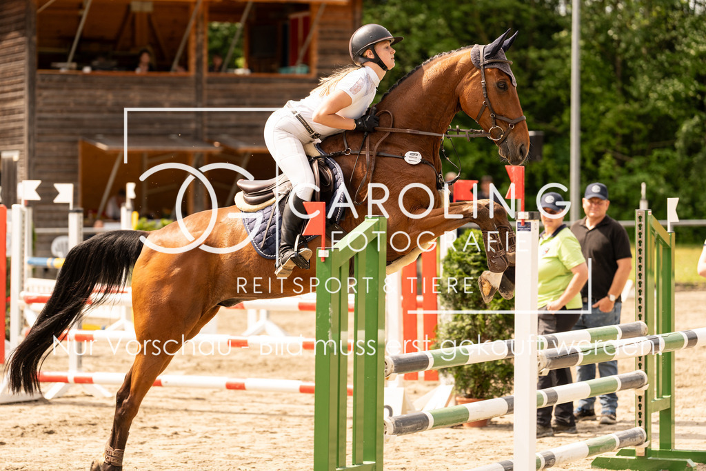 DSC02386 | Carolin Gieschke