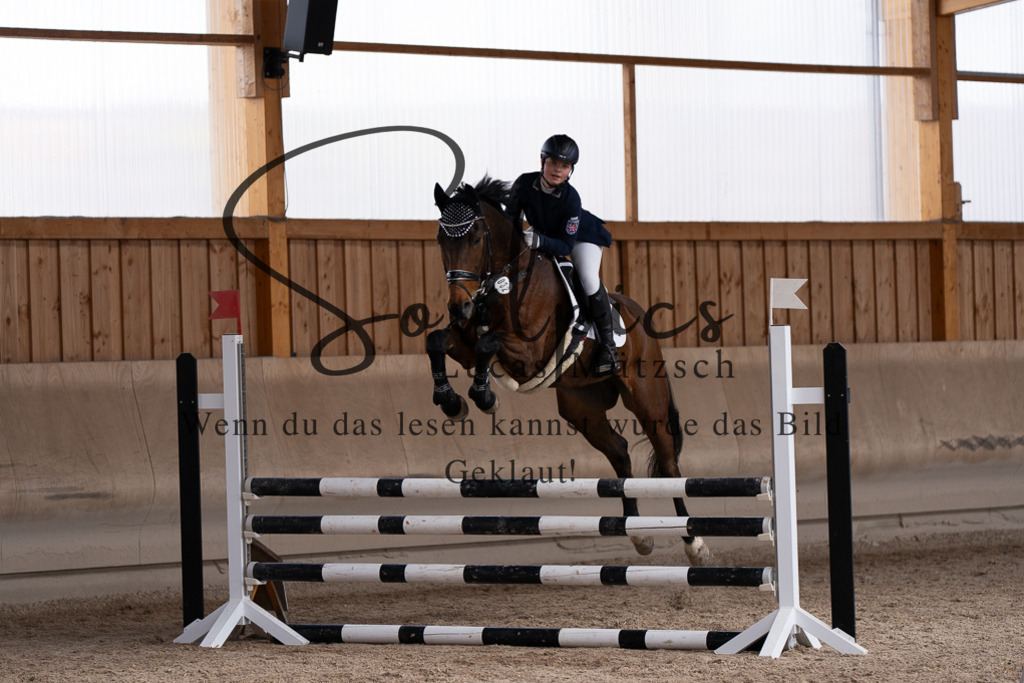 A7507785 | Pferdefotograf