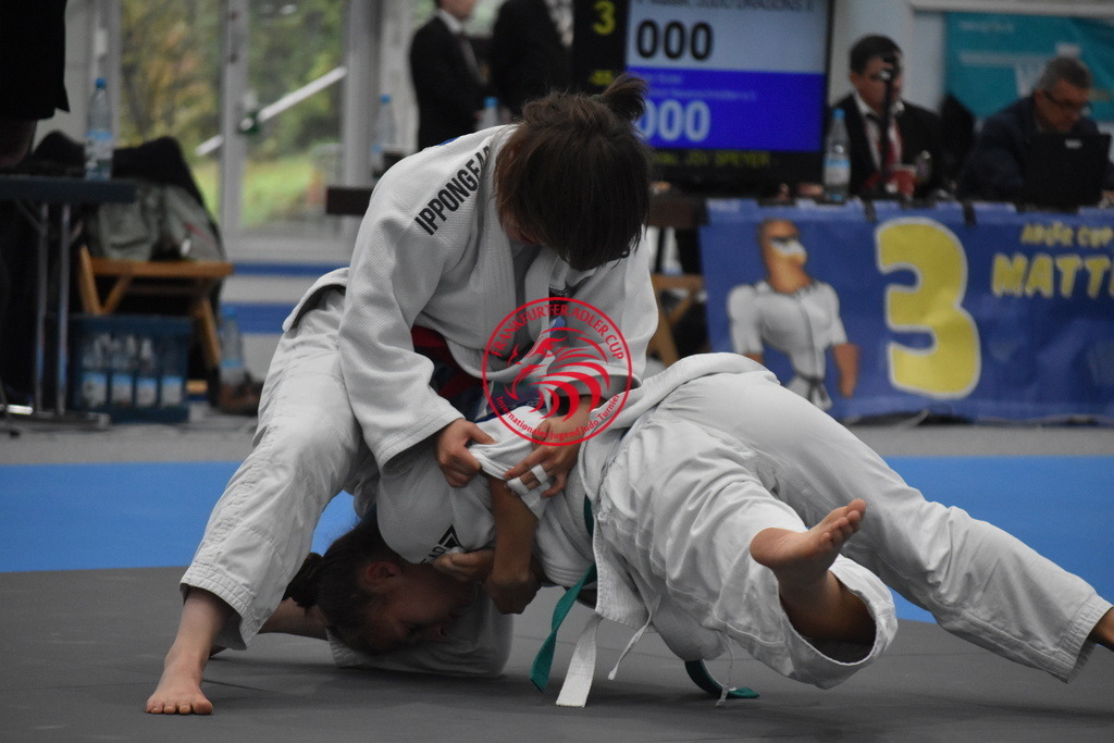 DSC_2045 | Fotos vom Adler Cup - Pictures from Adler Cup

Hier findet Ihr alle Eindrücke und großen Momente der Adler Cup Wochenenden. Here you will find all impressions and great moments of the Adler Cup weekends. - Realisiert mit Pictrs.com