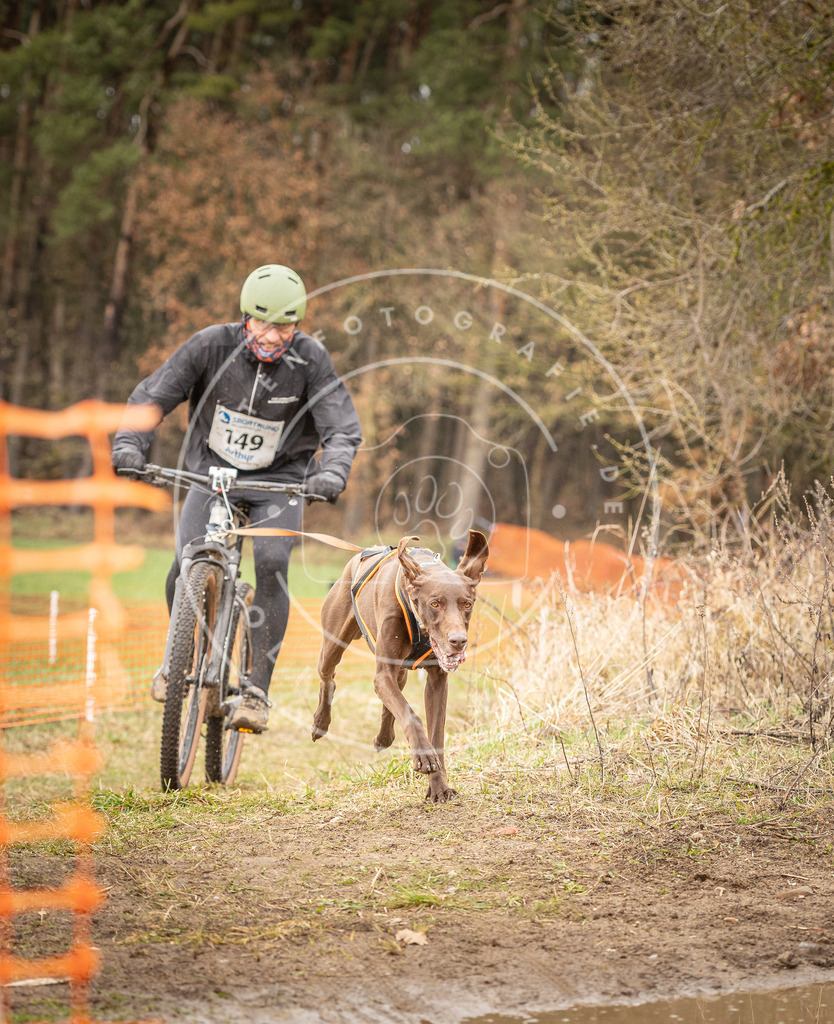 DV3A1187 | Hundefotografie, Tierfotograf, Pfotenfotografie, Fotoshooting Hund, Hunde Portrait, Hundesport, Hundeportraits, Heideshooting, Hunde, Sportfotograf, Hundefotograf, Turnierhundsport, THS,  - Realisiert mit Pictrs.com