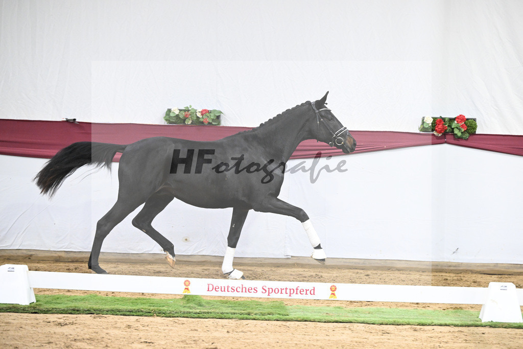 Kat-Nr. 34 Iron x Fuersten-Look_Thomas Casper_47251176 | hf-fotografie - Realisiert mit Pictrs.com