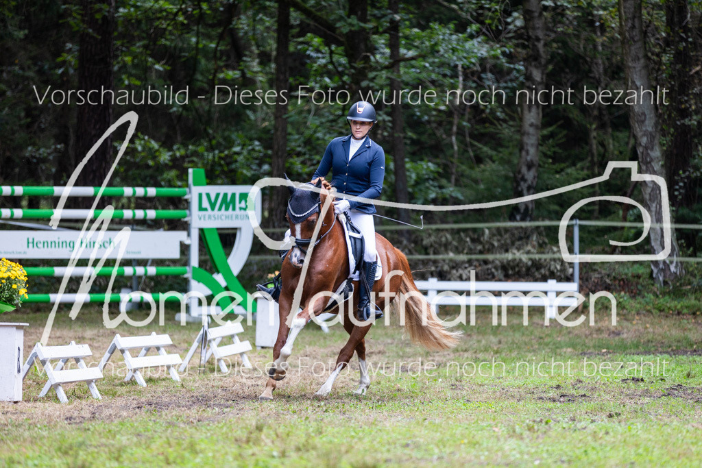 HB-A-Dressur-154 | MomenTaufnahmen Pferdesportfotos