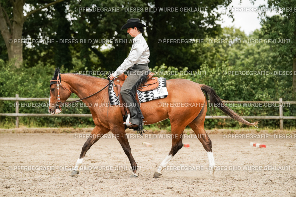 DSC08494 | Pferdegrafie