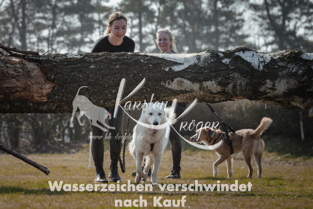 1127_ZZ95152 | kk-dogfotos