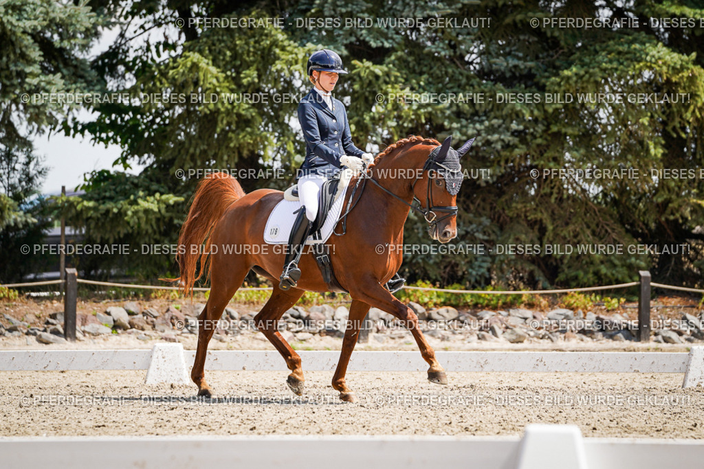 DSC00968 | Pferdegrafie