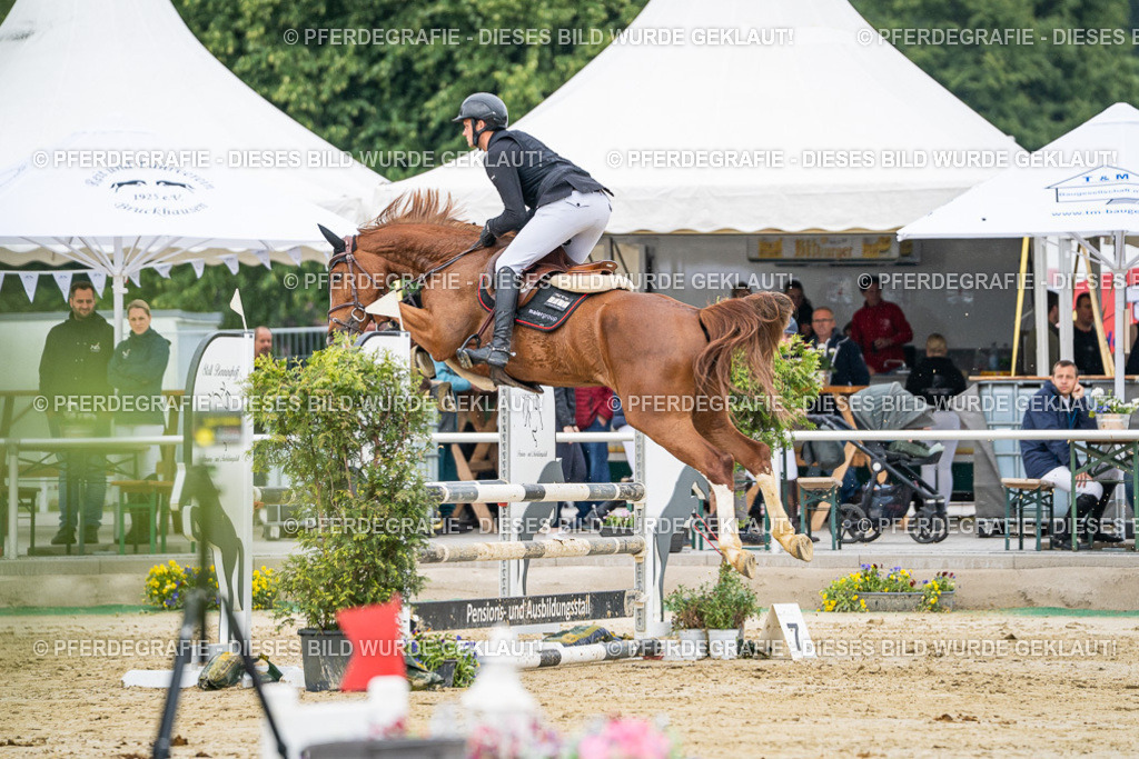 DSC00702 | Pferdegrafie