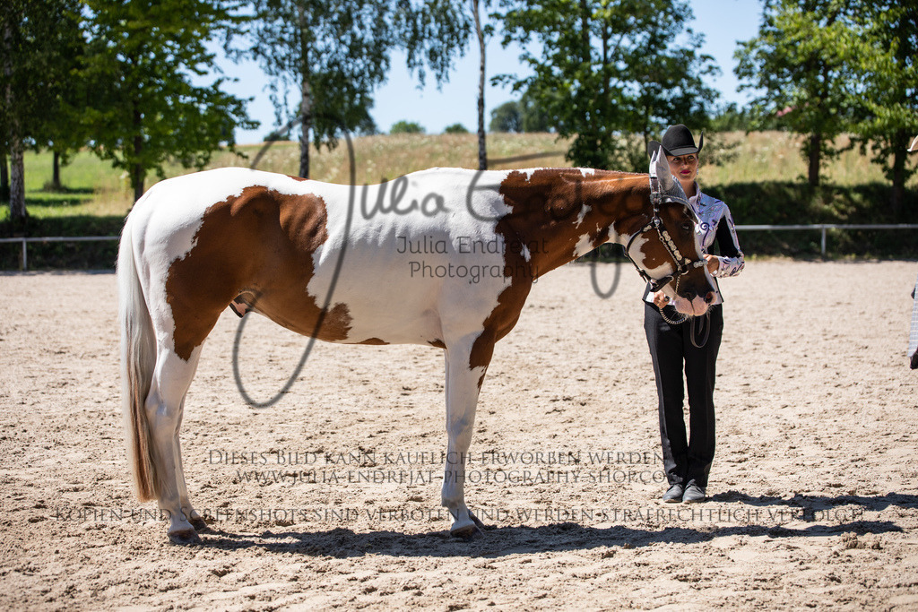 20220702-JuliaEndrejatPhotography-1582 | Julia Endrejat Photography