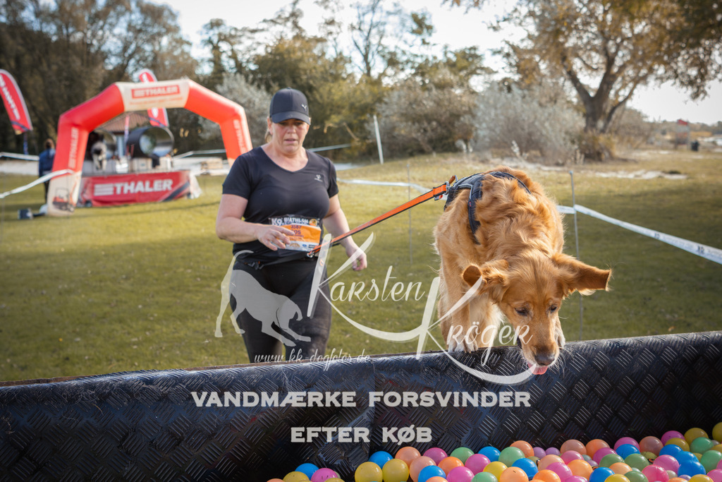 1311_ZZ99506-2 | kk-dogfotos