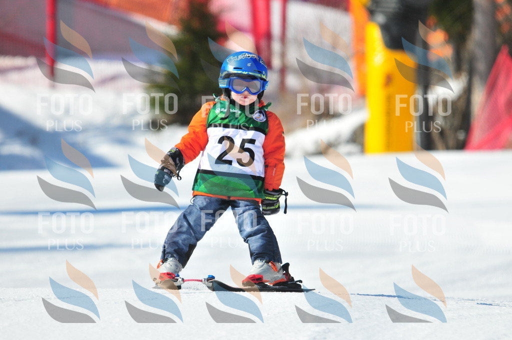 C2575 | holidayphoto