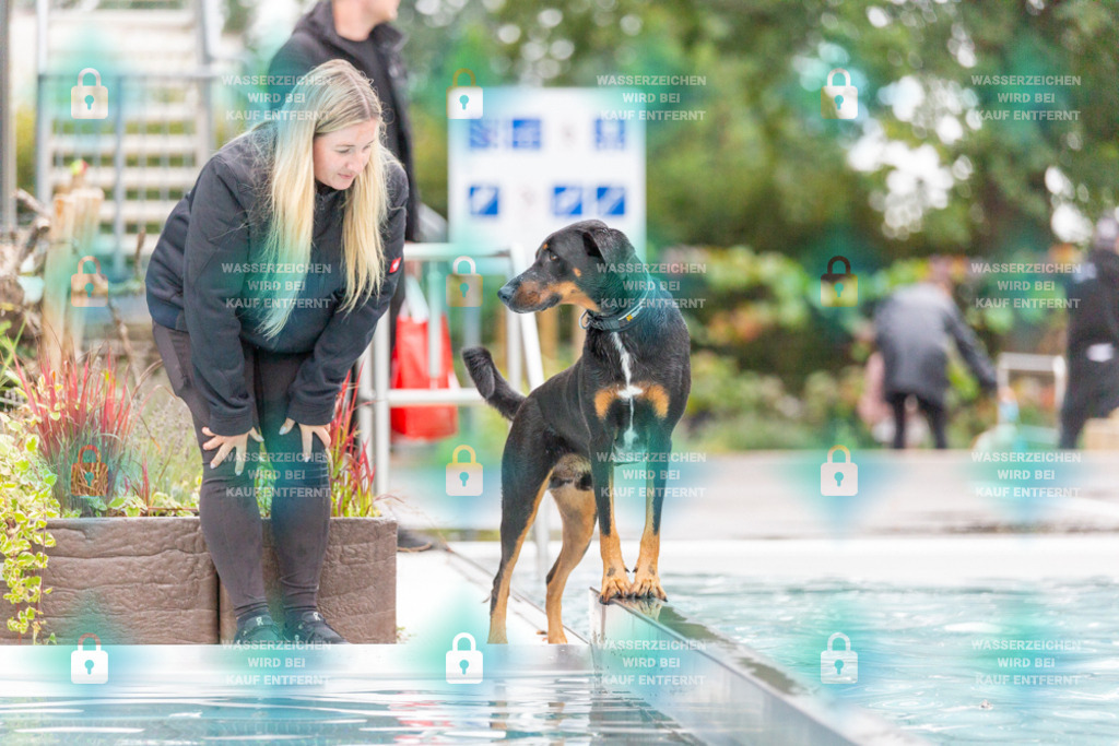 _HP_7342_1000o | HetPix, HetPix Fotodesign, Fotografie, Fotodesign, Webshop, Sportfotografie, Portraitfotografie, Onlineshop, Sportfotografie, Polch, Motorsportfotografie, Eventfotografie