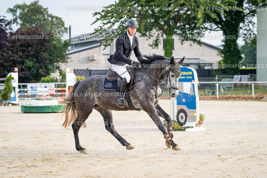 DSC07614 | Pferdegrafie