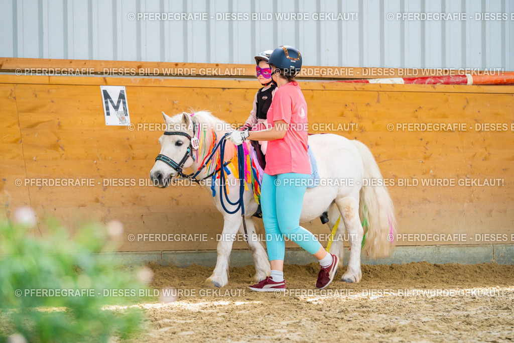 DSC09995 | Pferdegrafie