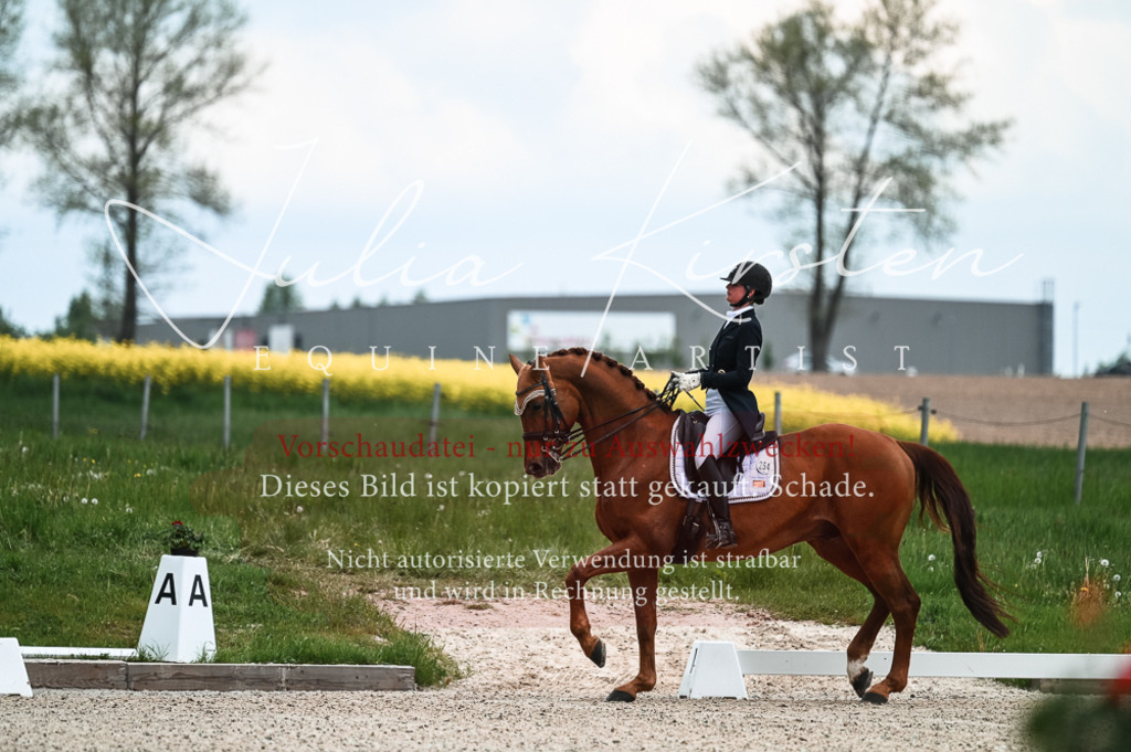 20230514_JK-Röhrsdorf-21-012 | Pferde- und Turnierfotografie in Westsachsen. Pferdeportraits, Auftragszeichnungen und intuitive Kunst.