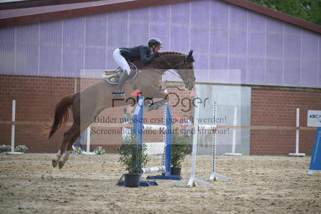 DOS_2924 | Entdecke hochwertige Reitturnierfotos von Foto Oger. Professionell, emotional und authentisch – jetzt Lieblingsmomente im Shop bestellen.Deutschlandweite Turnierfotografie. - Realisiert mit Pictrs.com