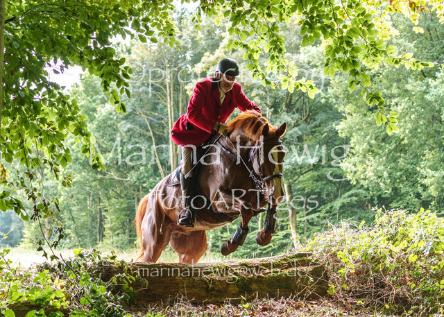 Jagd Knoop 26_MarinaHewigMCH02410 | Fotografie, FotoArt, PferdesportArt, Pferdesportfotografie, Landschaftsfotografie, Reisefotografie, Reise, Pferde - Realisiert mit Pictrs.com