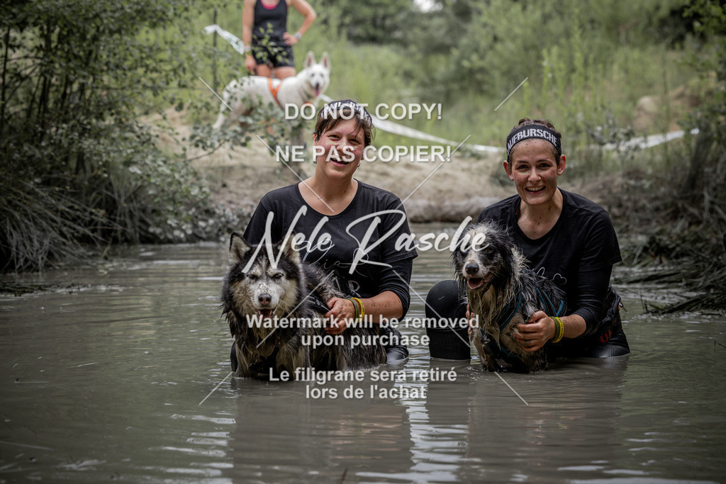 nelerasche_so1330-1400_456 | nelerasche