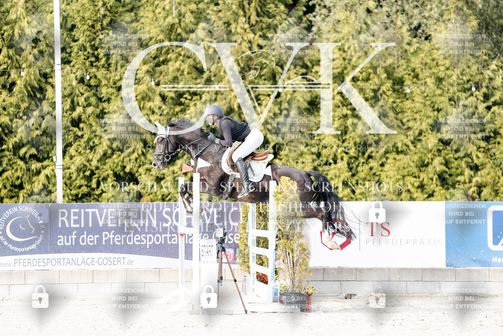 CK903216 | Turnierfotografie Pferdefotografie Trier Rheinland-Pfalz Pferdesport Reitsport Tierfotografie Sportfotografie Pferdevideo Pferdevideografie Equestrianvideography equestrianphotography  - Realisiert mit Pictrs.com