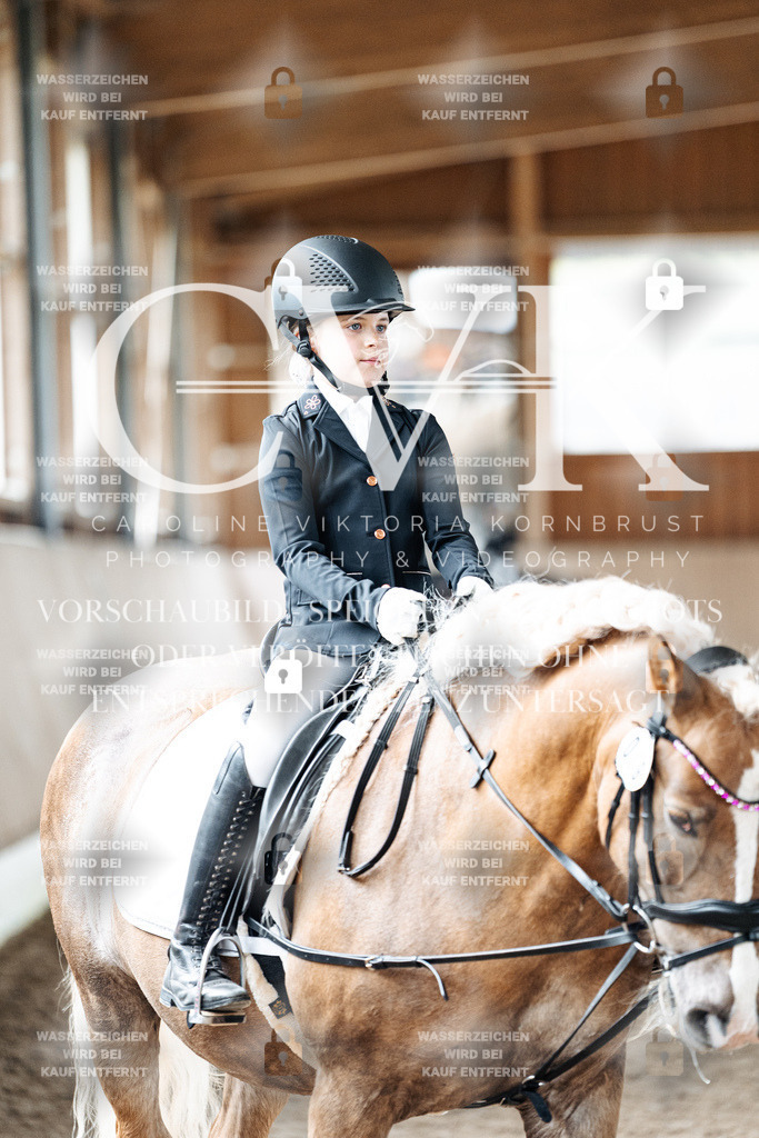 CK902043 | Turnierfotografie Pferdefotografie Trier Rheinland-Pfalz Pferdesport Reitsport Tierfotografie Sportfotografie Pferdevideo Pferdevideografie Equestrianvideography equestrianphotography  - Realized with Pictrs.com
