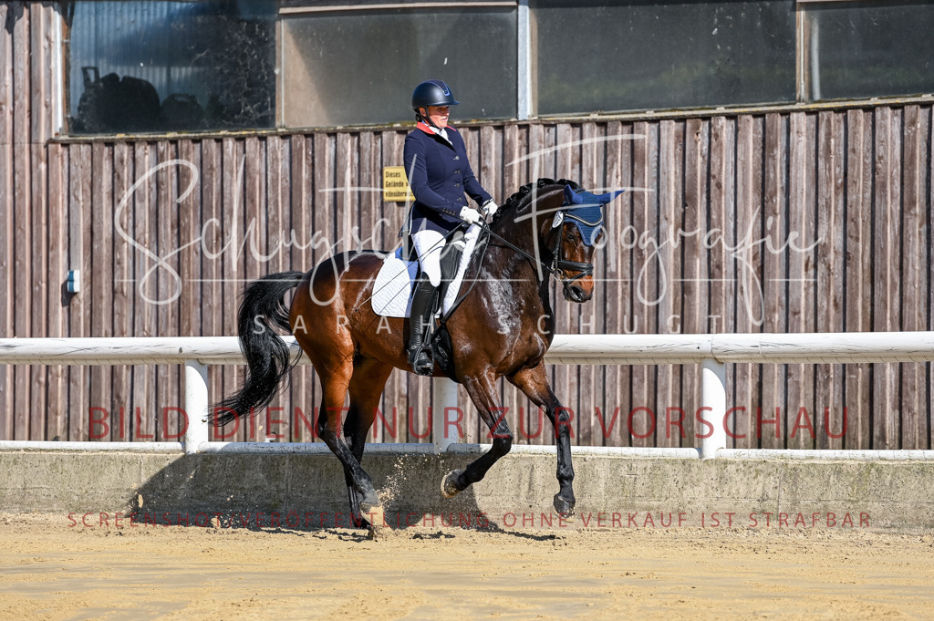 Schugtsche-Aluta25-51.Dressurpferdeprf.M-12 | Schugtsche Fotografie - Realisiert mit Pictrs.com