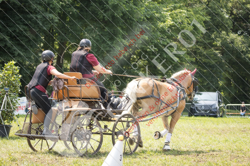 IMG_8502 | Sport-, Event- und Tierfotos in Profiqualität. Einfach auswählen, bestellen und herunterladen. Dein Moment – perfekt festgehalten.
