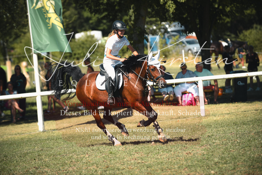 DSC_7281 | Pferde- und Turnierfotografie in Westsachsen. Pferdeportraits, Auftragszeichnungen und intuitive Kunst.