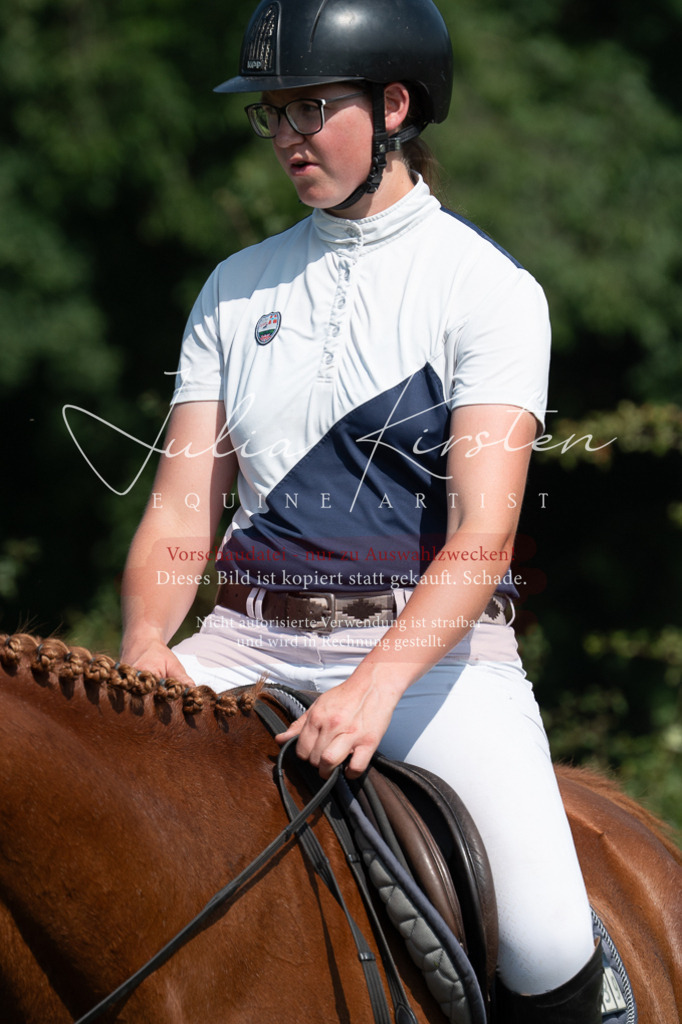 DSC_0880 | Pferde- und Turnierfotografie in Westsachsen. Pferdeportraits, Auftragszeichnungen und intuitive Kunst.