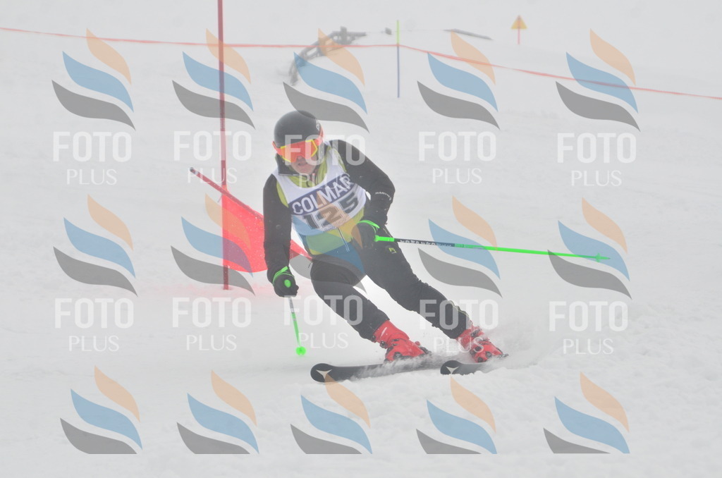 A6040 | holidayphoto