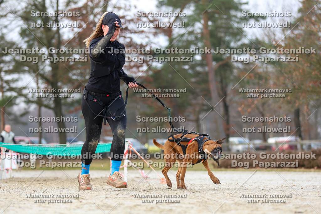 Dog Paparazzi - Strongdog North Mrz26-3814 | Dog Paparazzi Jeanette Grottendiek Fotografie & Videografie - Realisiert mit Pictrs.com