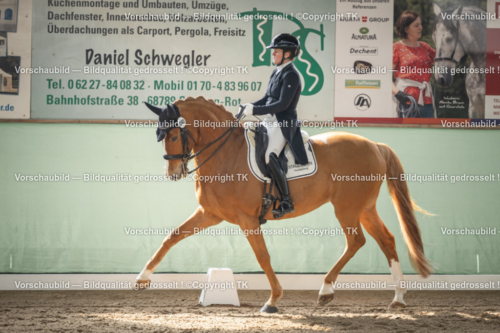 _D5A5061 | Emotionale Pferde- & People-Fotografie rund um Heidelberg, Leimen & Umgebung. Natürliche Fotos von Pferd, Mensch & Familie. Jetzt Termin sichern!