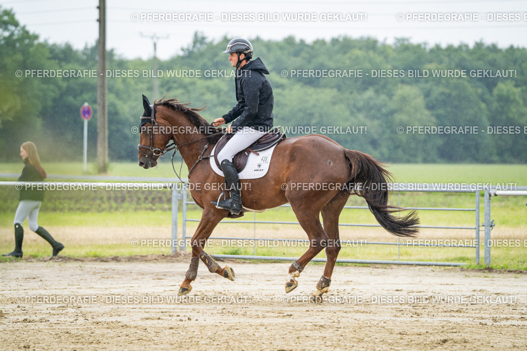 DSC01486 | Pferdegrafie