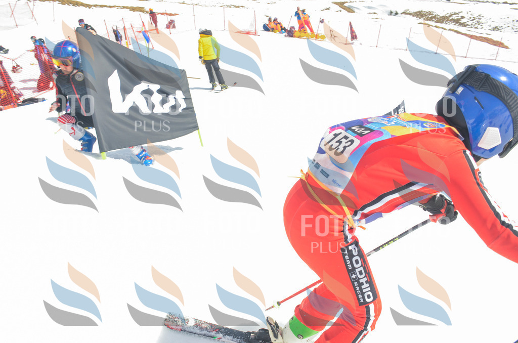 _ELE6344 | holidayphoto