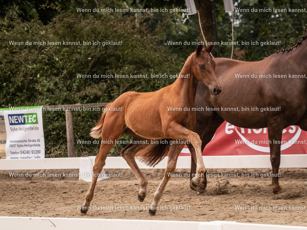 A10I6846 | photographylinaismer - Realisiert mit Pictrs.com