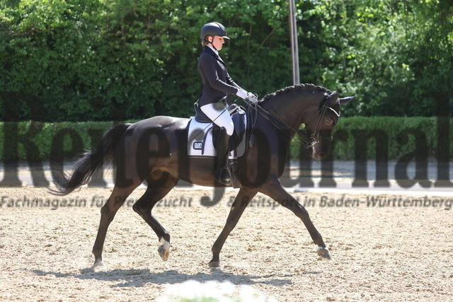 Böblingen_2025_Prfg.Nr.08_Dressurprüfung_Kl.M_Nürnberger Burgpokal_Pia Dangel_Finett 51 (8) | Alle Fotos der Reiterjournal Fotografin Doris Matthaes im Reiterjournal Online-Fotoshop. - Realisiert mit Pictrs.com