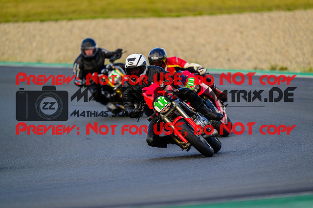 MaZZes_FotoMatrix_240724_6007705_2-226 | GRUEN