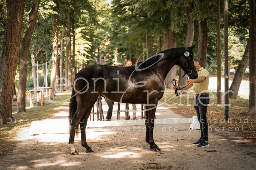 FrPfM00194 | Leoni Ertmer Photography - Realisiert mit Pictrs.com