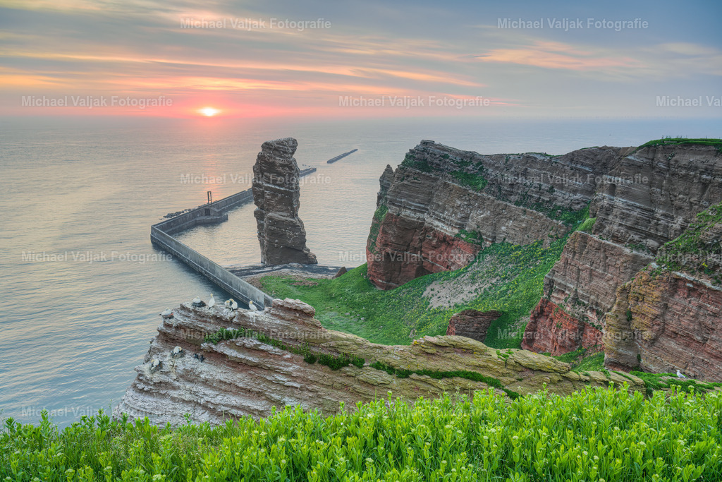 Sonnenuntergang bei der Langen Anna | Blick zum Brandungspfeiler "Lange Anna" am Klippenende der Nordseeinsel Helgoland bei einem Sonnenuntergang im Mai. Die Felsnadel ist ein Wahrzeichen der Insel und akut einsturzgefährdet. Auf dem Felsen brüten im Frühjahr zahlreiche Vögel wie Basstölpel, Trottellummen und Dreizehenmöwen. - Realisiert mit Pictrs.com