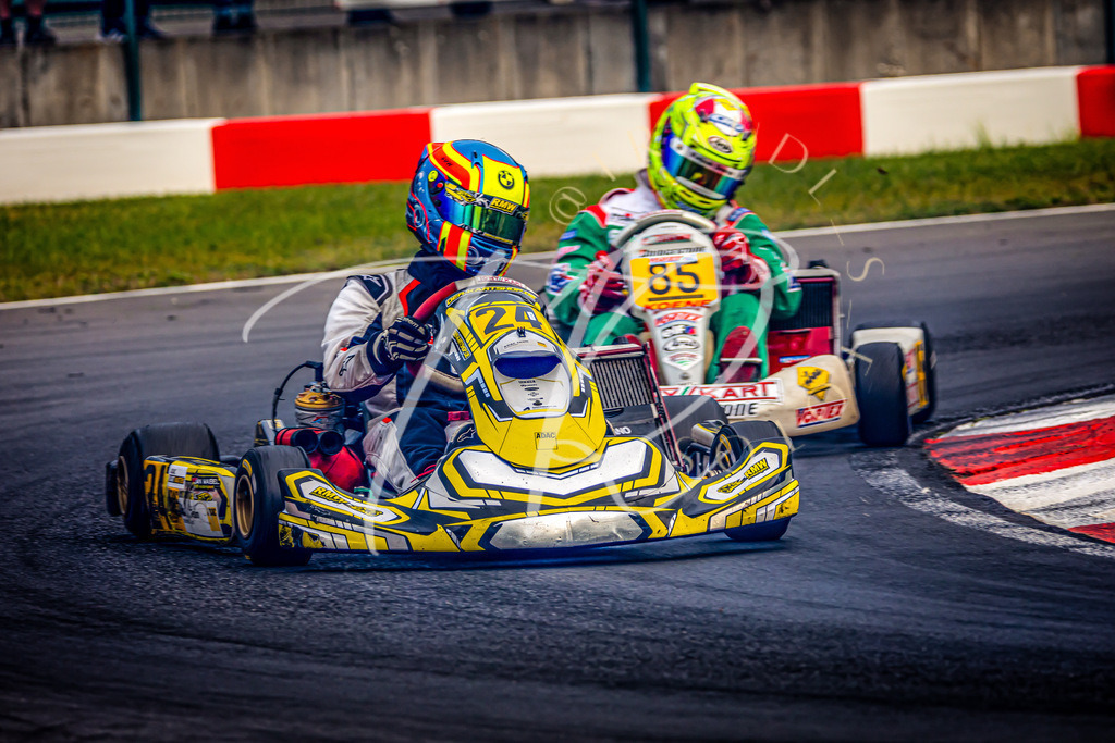 67185AC8-7EEE-466C-89C9-BA08570F2907 | traudl_s_fotos