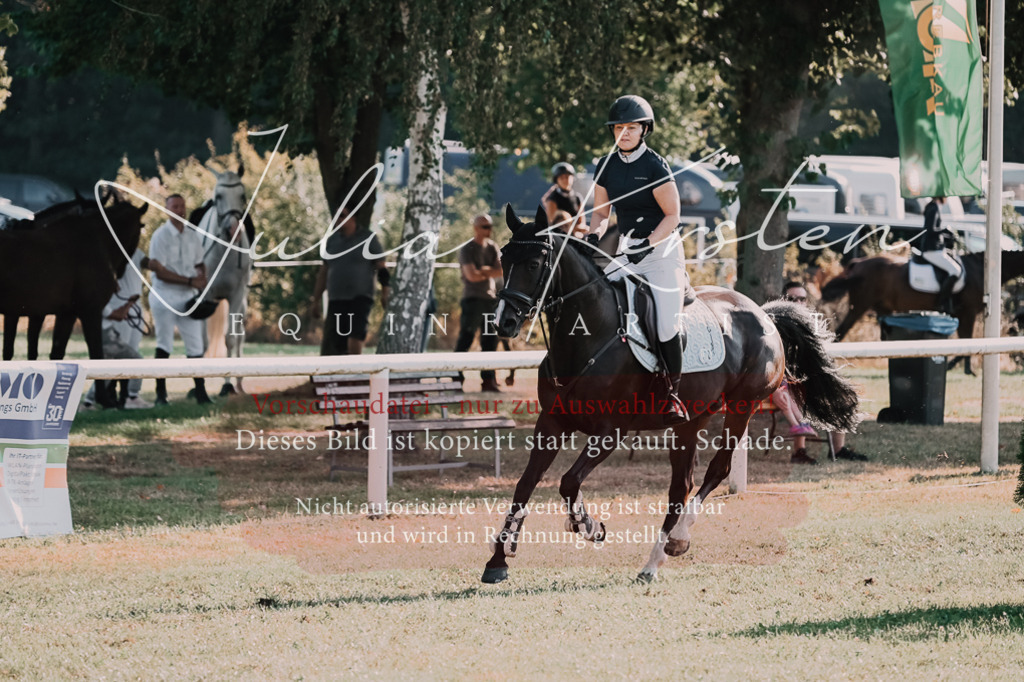 DSC_4707 | Pferde- und Turnierfotografie in Westsachsen. Pferdeportraits, Auftragszeichnungen und intuitive Kunst.