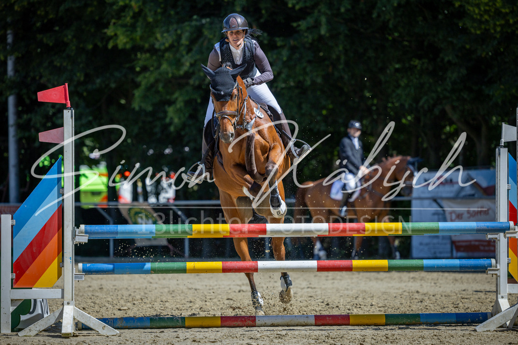 20260704-_3LI7887 | Tierfotografie Pferde, Hunde, Katzen, Haustiere.
Turnierfotografie Reitturniere, Reiten, Springreiten, Dressur in Hanau, dem Main-Kinzig-Kreis und dem Rhein-Main- Gebiet um Frankfurt