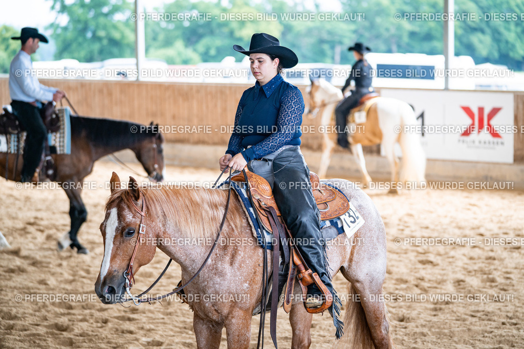 DSC01969 | Pferdegrafie