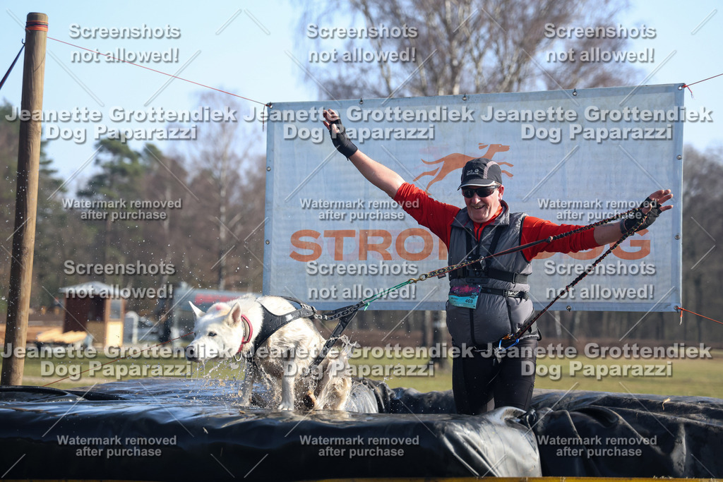 Dog Paparazzi - Strongdog North Mrz26-1225 | Dog Paparazzi Jeanette Grottendiek Fotografie & Videografie - Realisiert mit Pictrs.com