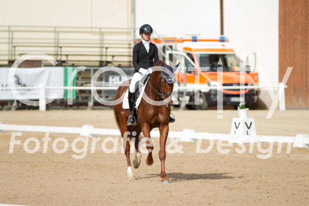 IMG_1041 | Creatify Fotografie