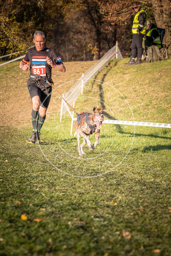 CaniXpix_0L8A0944 | Hundefotografie, Tierfotograf, Pfotenfotografie, Fotoshooting Hund, Hunde Portrait, Hundesport, Hundeportraits, Heideshooting, Hunde, Sportfotograf, Hundefotograf, Turnierhundsport, THS,  - Realisiert mit Pictrs.com
