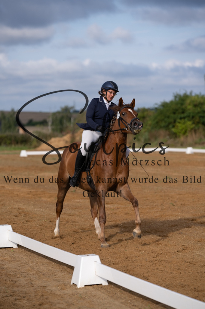 A7V03749 | Turnier/Reitfotograf