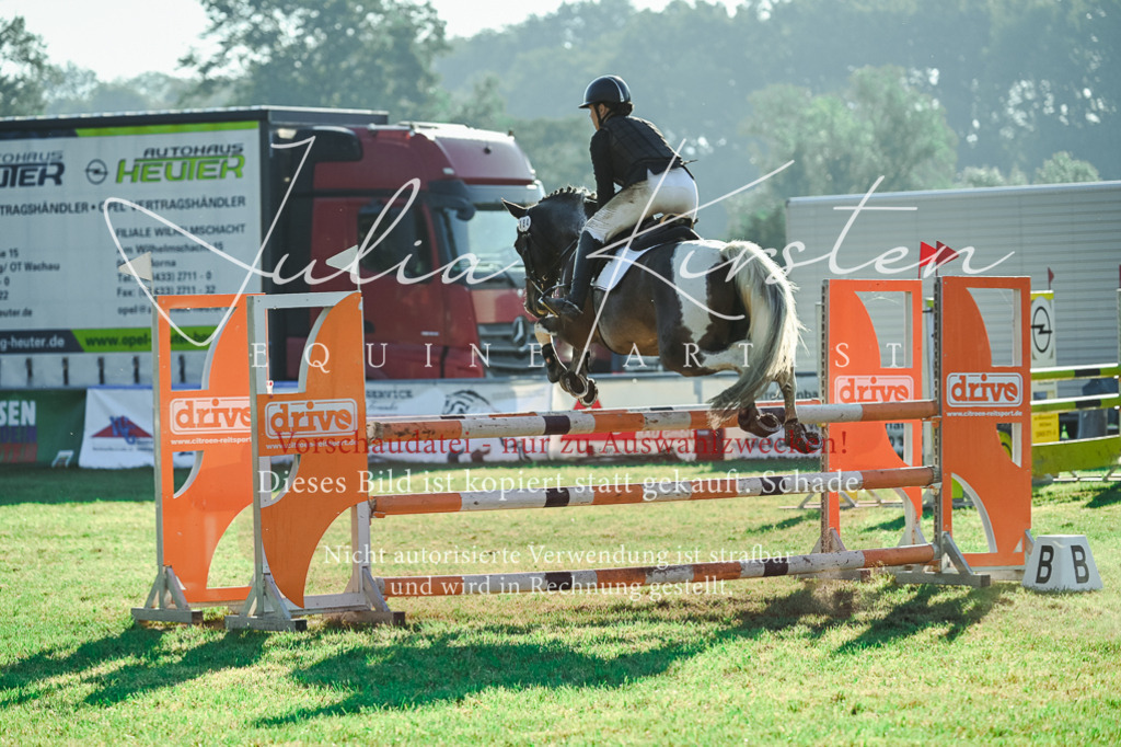 DSC_4496 | Pferde- und Turnierfotografie in Westsachsen. Pferdeportraits, Auftragszeichnungen und intuitive Kunst.