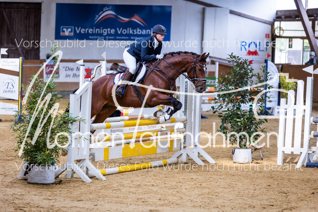 Sth-A-Springen-067 | MomenTaufnahmen Pferdesportfotos